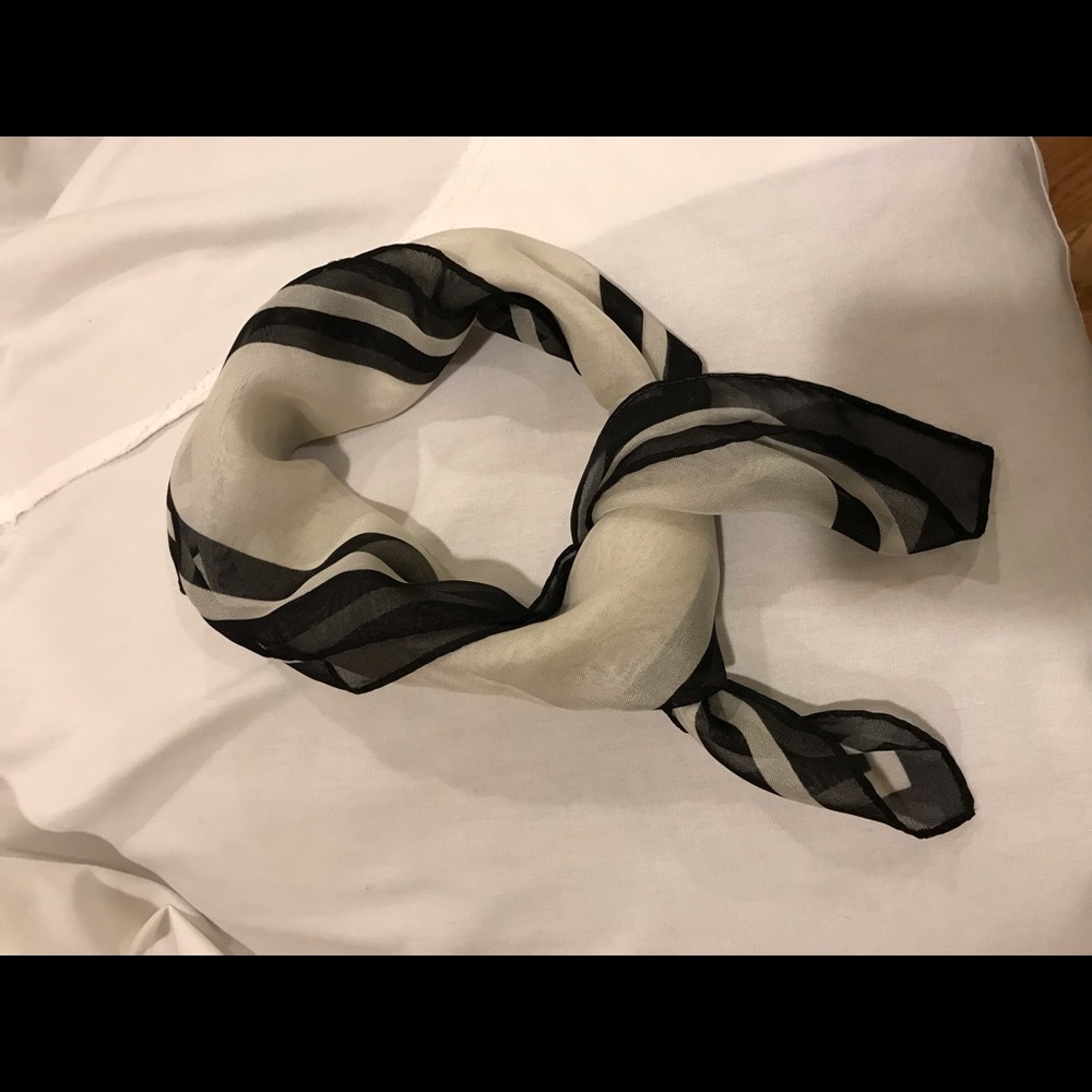 Express sheer white scarf with black edging